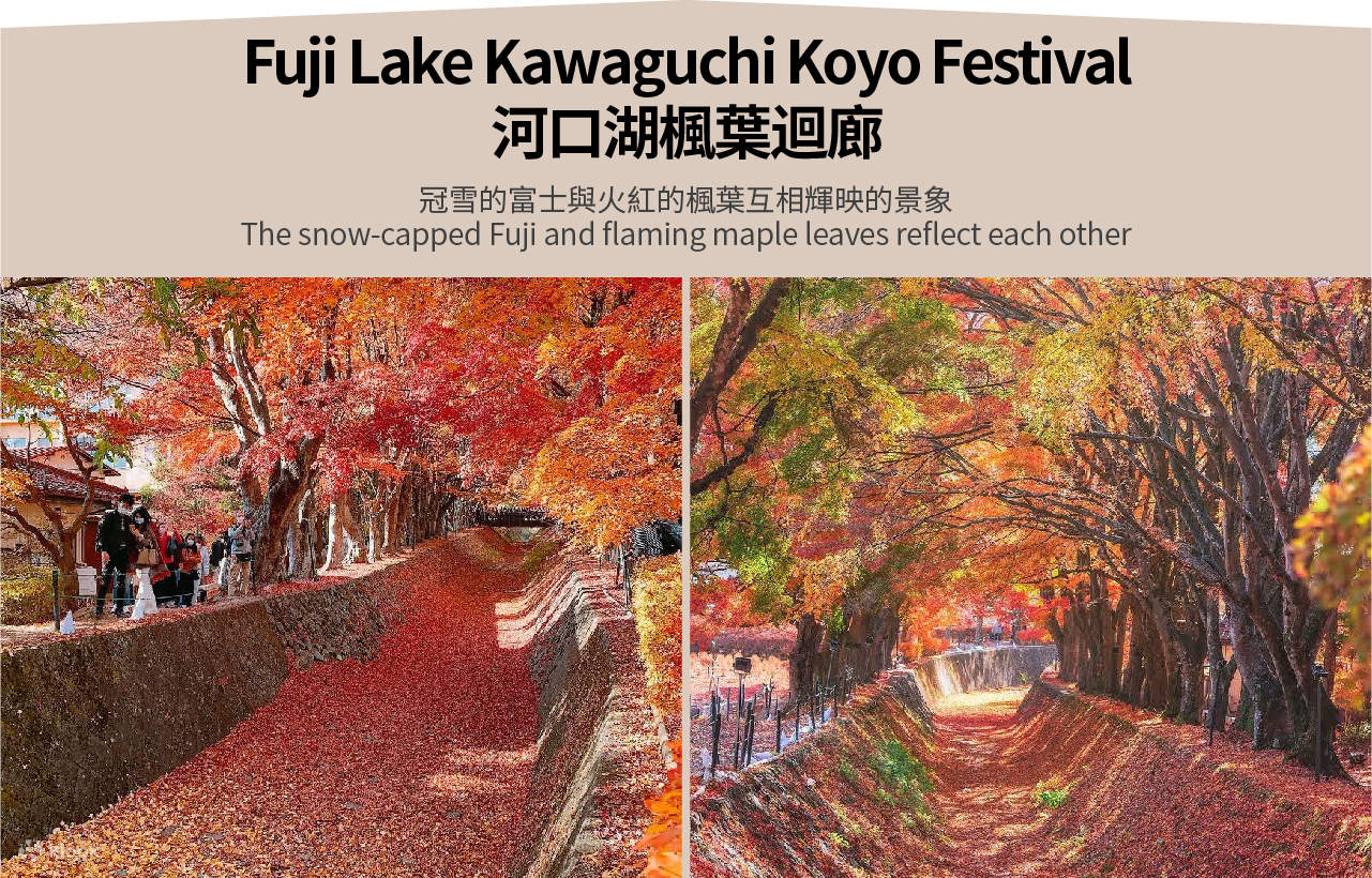 Mount Fuji & Izu & Hakone [wpsm_custom_meta type=date field=month] [wpsm_custom_meta type=date field=year] : 18% OFF - Image 7
